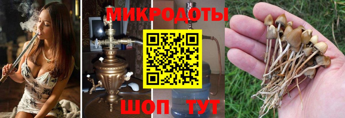 Алатырь  Псилоцибиновые грибы Magic Shrooms  что такое наркотик  Вход с VPN 